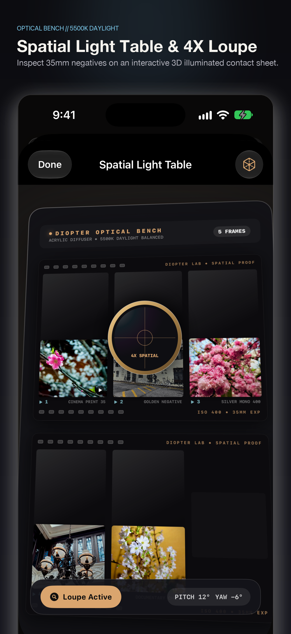 Spatial Light Table and Loupe Screenshot